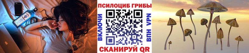 Псилоцибиновые грибы MAGIC MUSHROOMS  Рассказово 
