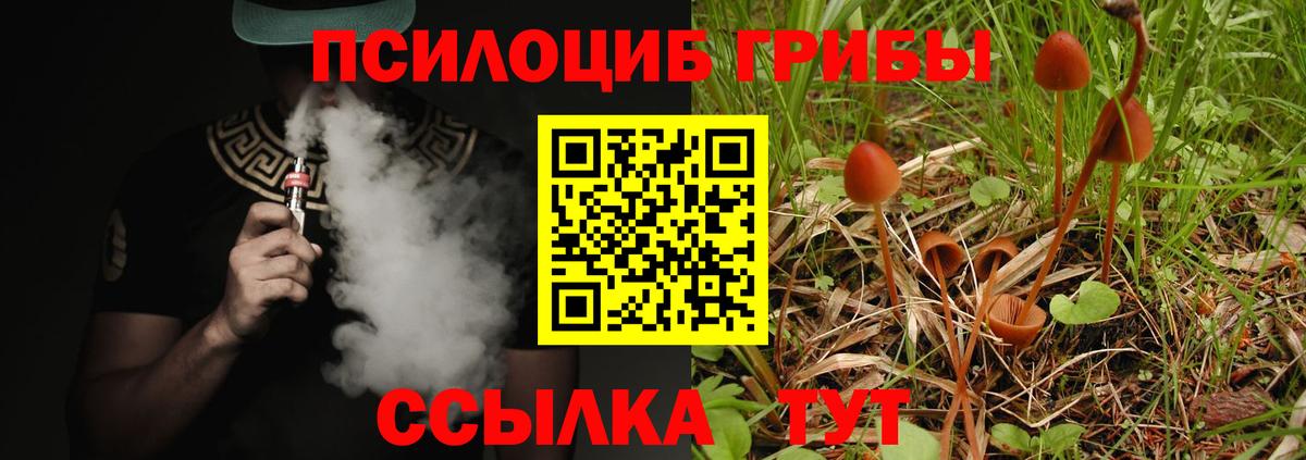 где найти наркотики  Галлюциногенные грибы Psilocybine cubensis  Вход с VPN  Рассказово  Галлюциногенные грибы MAGIC MUSHROOMS 